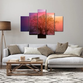 Obraz stromov v hmle (150x105 cm)