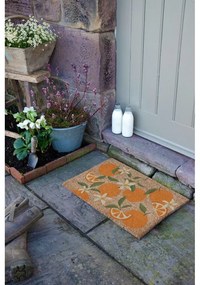 Rohožka z kokosového vlákna 40x60 cm Orange – Artsy Doormats