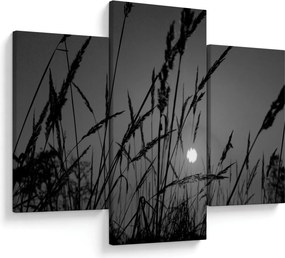 Obraz - Lúka so západom slnka (90x60 cm)