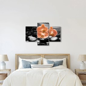 Obraz - Oranžové orchidey (90x60 cm)