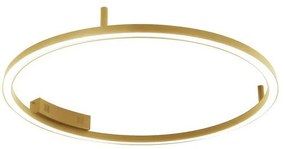 Immax NEO 07291-80G - LED+CCT stmievateľné stropné svietidlo FINO 55W/230V Tuya priemer 80 cm s diaľkovým ovládaním