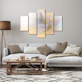 Obraz - Jemný kvet (150x105 cm)