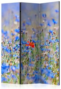 Artgeist Paraván - A sky-colored meadow - cornflowers [Room Dividers]