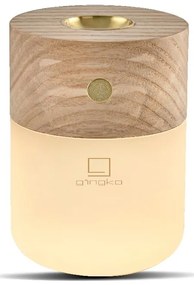Elektrický difuzér Smart – Gingko