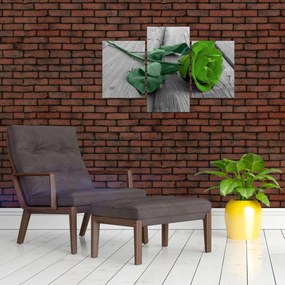 Obraz - Zelená ruža (90x60 cm)