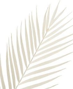 Dekoratívna vetvička Palmera 95 cm white