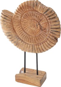 Dekoracja Fossil