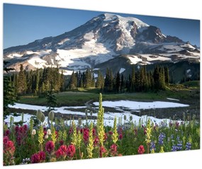 Obraz - Mount Rainier (90x60 cm)