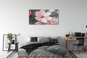 Obraz plexi Ružové kvety 125x50 cm