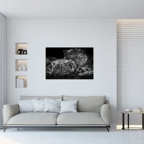 Obraz - Odpočívajúci gepardy (90x60 cm)