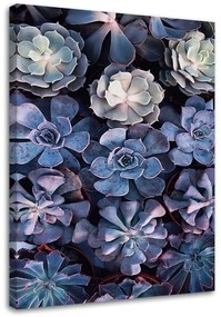 Obraz na plátně Skandinávské květy šeříku - 80x120 cm