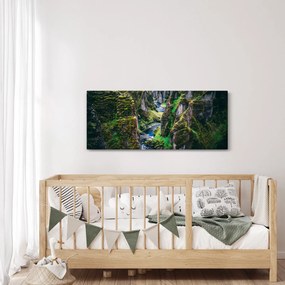 Obraz - Rieka v skalnatom údolí (120x50 cm)