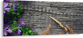 Obraz - lúčne kvety (120x50 cm)