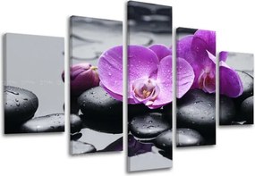 Obraz na stenu 5 dielny FENG SHUI FS011E50