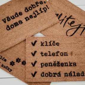 Artsy Doormats Rohožka Bydlím u své kočky - CZ