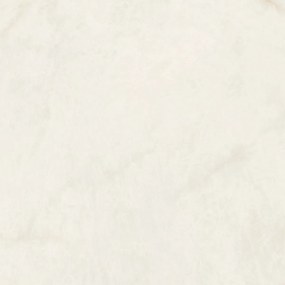 Dlažba Borgia Cream 60x60 R