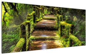 Obraz schodov v dažďovom pralese (120x50 cm)