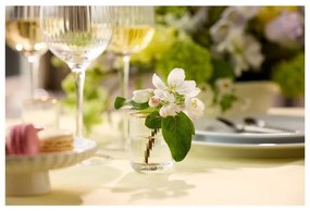 Štamperlíky v súprave 4 ks 60 ml Palermo – Lyngby Glas