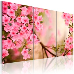 Artgeist Obraz - Cherry flower Veľkosť: 120x80, Verzia: Premium Print