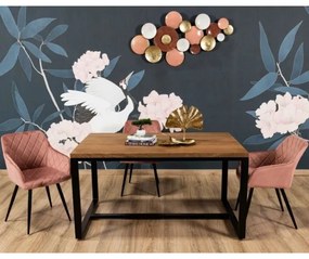 SADA 2x Jedálenská stolička RICO ružová