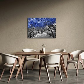 Obrázok - Modré stromy, Central Park, New York (70x50 cm)