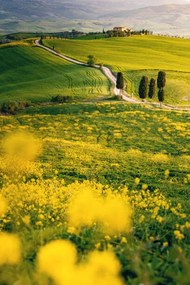 Fotografia Tuscany, springtime in the afternoon. Path,, Francesco Riccardo Iacomino