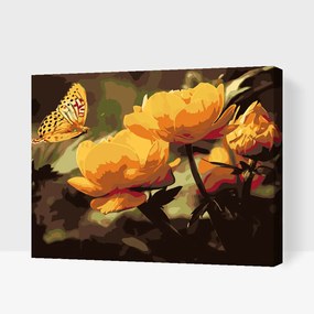 Gario Maľovanie podľa čísel Motýľ s kvetmi Rozmery: 50 x 40 cm, Rámovanie: Iba zrolované plátno