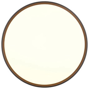 Čierno-biele LED stropné svietidlo ø 47 cm Spacy – Trio