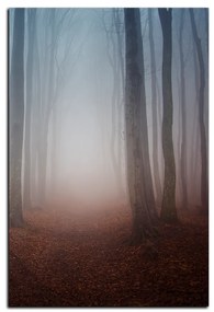 Obraz na plátne - Hmla v lese - obdĺžnik 7182A (90x60 cm  )