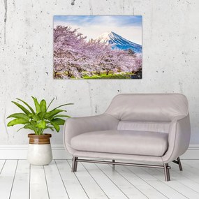 Obraz - Japonsko na jar (70x50 cm)