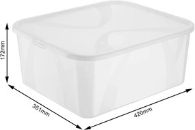 Úložný box, transparentný box s vekom, Rotho LONA, 42x35x17 (19l)