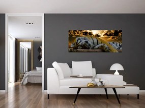 Obraz spiaceho tigra (120x50 cm)