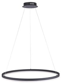 Paul Neuhaus 2383-13 - LED Stmievateľný luster na lanku TITUS LED/50W/230V