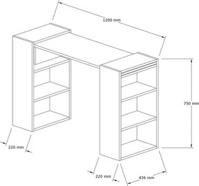 Pracovný stôl Handy Walnut and White