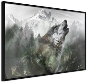 Artgeist Plagát - Howling Wolf [Poster] Veľkosť: 60x40, Verzia: Čierny rám