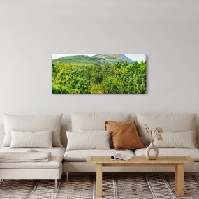 Obraz - Babi Hora, Poľsko (120x50 cm)