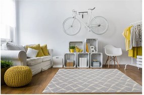 Vysokoodolný koberec vhodný do exteriéru Floorita Rete Silver, 130 x 190 cm