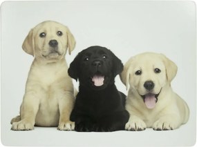 4ks pevné korkové prestieranie štěňatá labradora - 30*40*0,4cm