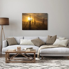 Obraz - Kaktusy Saguaro (90x60 cm)