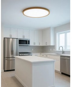 LED stropné svietidlo LED/32W/230V 3000/4000/6500K priemer 40 cm béžové