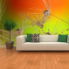 Sablio Tapeta Odkvitnuté púpavy - 125x75 cm