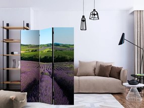 Artgeist Paraván - Lavender fields [Room Dividers]