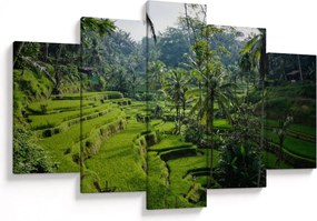 Obraz ryžových terás Tegalalang, Bali (150x105 cm)