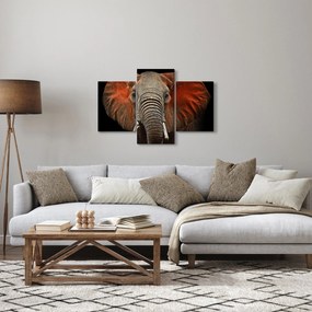Obraz - Slony z Tsavo (90x60 cm)