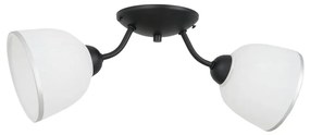 Luminex Stropné svietidlo AVIA 2xE27/60W/230V 176