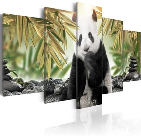 Artgeist Obraz - Cute Panda Bear Veľkosť: 100x50, Verzia: Na talianskom plátne