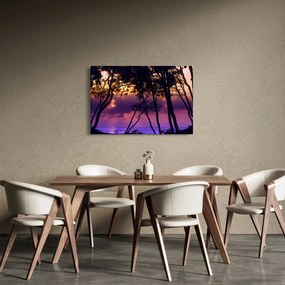Obraz - Stromy pri západe slnka (90x60 cm)