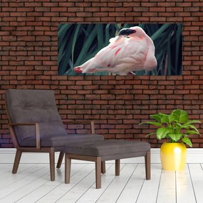 Obraz - Plameniak (120x50 cm)