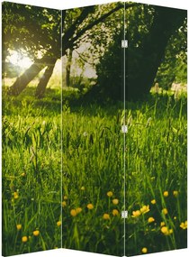Paraván - Lúka (126x170 cm)