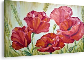 Obraz - Kvety vlčích makov (90x60 cm)